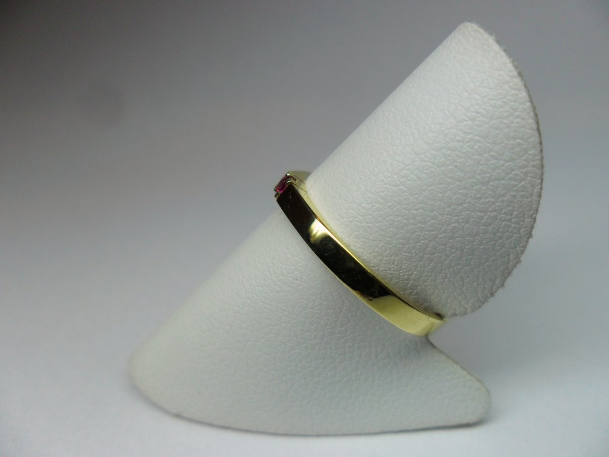 Rijring met Robijn 1st.